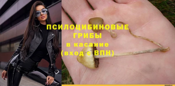 соль ск Балахна