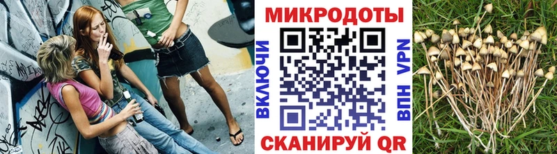 Псилоцибиновые грибы MAGIC MUSHROOMS  Ленск 